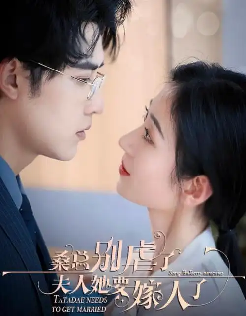 山河月明,电视剧,2023